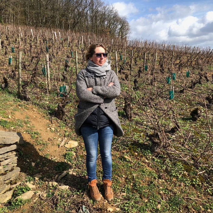 Julie Benau's Innovative, Natural Wines from the South of France