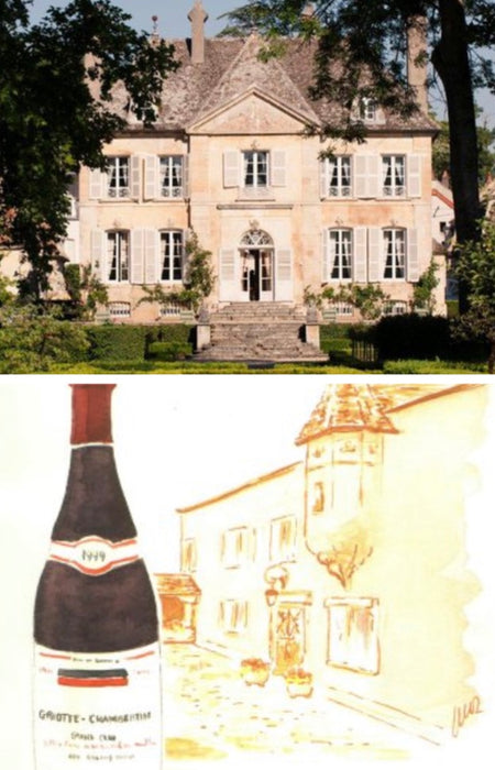 2017 Red Burgundy: Chandon de Briailles and Domaine des Chezeaux