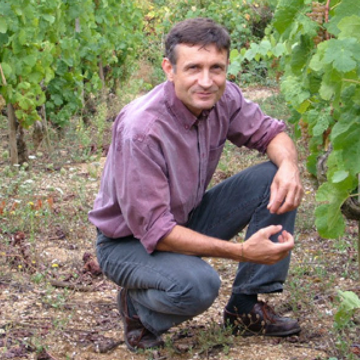 New Wines from Alain Voge: Another Northern Rhone Super Star!