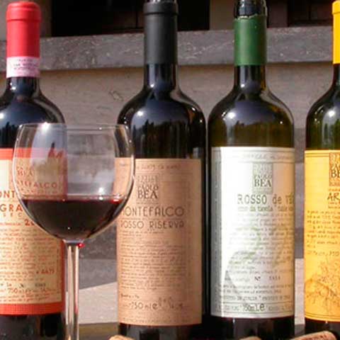 Wines of Paolo Bea
