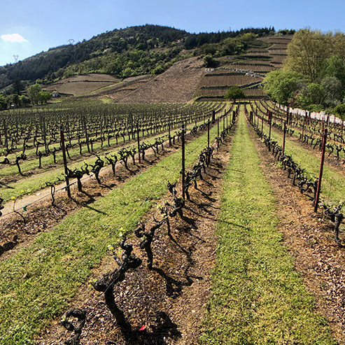 New 2016 Cornas from Giullaume Gilles and Domaine Lionnet