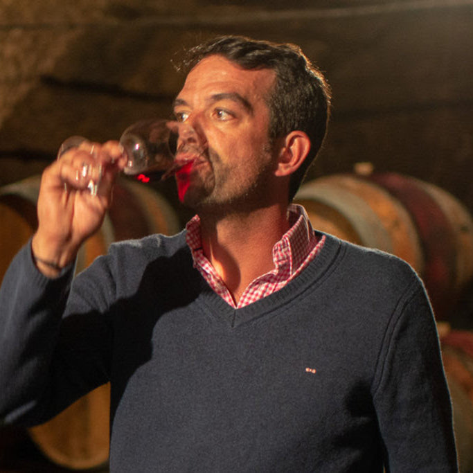 New Wines from Domaine Guilberteau