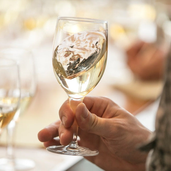 Eric Asimov's Latest NYT Article: "For Muscadet, Look Beyond the Obvious."