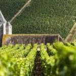 New Releases from Domaine Prudhon: The Rising Star of White Burgundy & The Sensational 2016s from Domaine Rollin: Burgundy's Finest Kept Secret!