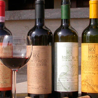 New Vintages of Paolo Bea