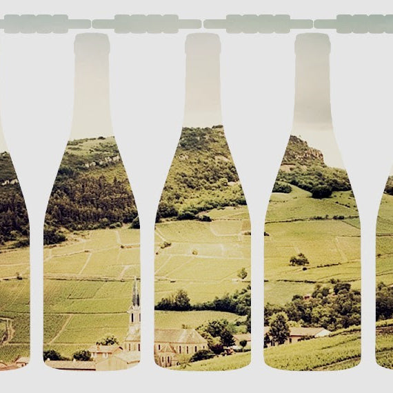 2017 White Burgundy: Ballot-Millot and Thomas Morey