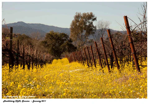 April 24th, Wine 101
