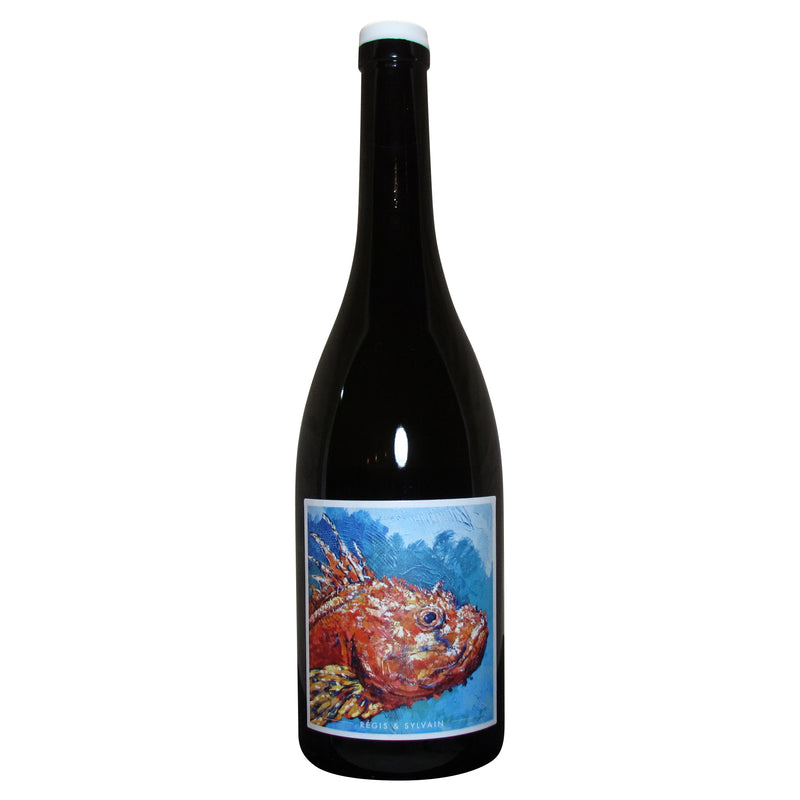 2019 Regis & Sylvain Sauvignon Blanc Val de Loire