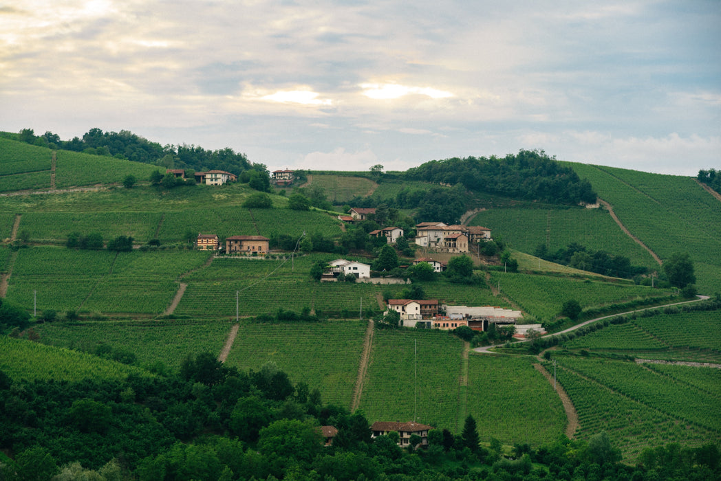 4/12: Piedmont: From Barolo to Moscato